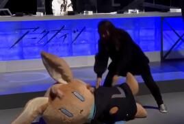 《明日方舟》日服1周年直播活动: 1/1大小 阿米娅兔子布偶 公布