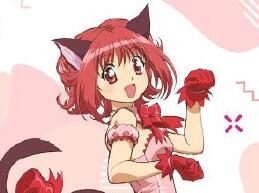 完全新作动画《东京猫猫》先导视觉图公开，2022年开播