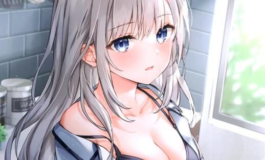 精美画集：(C99)EARLY IN THE MORNING【ひげ猫】
