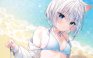 精美画集：(C99) Melt【まふゆ】