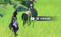 原神3.0攻略:须弥 双人联机 隐藏宝箱!!