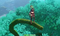 原神3.0攻略:须弥城 净善宫【华丽宝箱*2、草神瞳*1、隐藏成就:究竟一切智地】