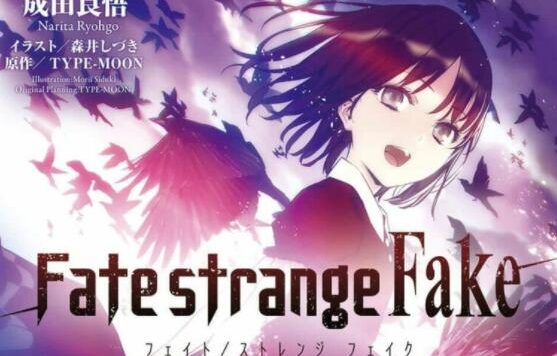 成田良悟小说改编TV动画《Fate/strange Fake》预告PV公开，12月开播