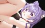 嗨嗨嗨！XmanTV每日好图#晚安【230202】